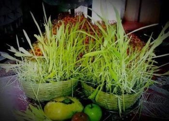 हरेला: सावन में प्रकृति पूजन का पर्व
