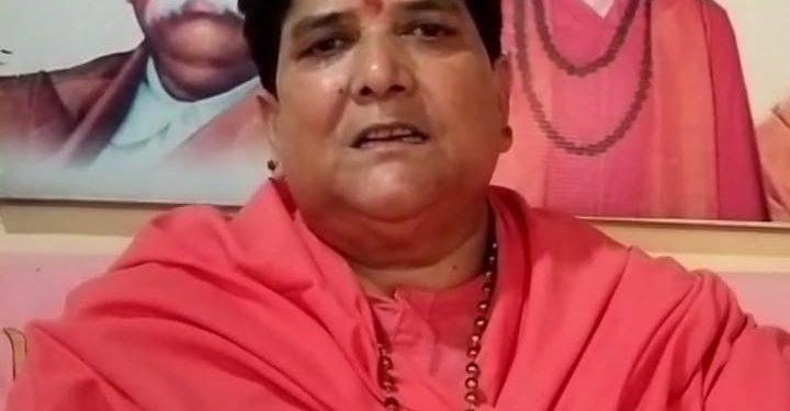 महामंडलेश्वर स्वामी श्री मैत्री गिरि जी महाराज