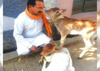 गो सेवा के लिए समर्पित महेन्द्र सिंह जी !