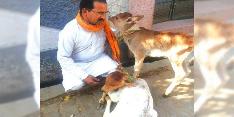 गो सेवा के लिए समर्पित महेन्द्र सिंह जी !